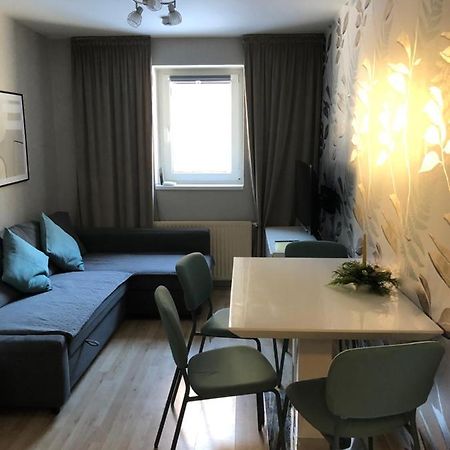 Apartman V Zeleni Dolní Morava エクステリア 写真