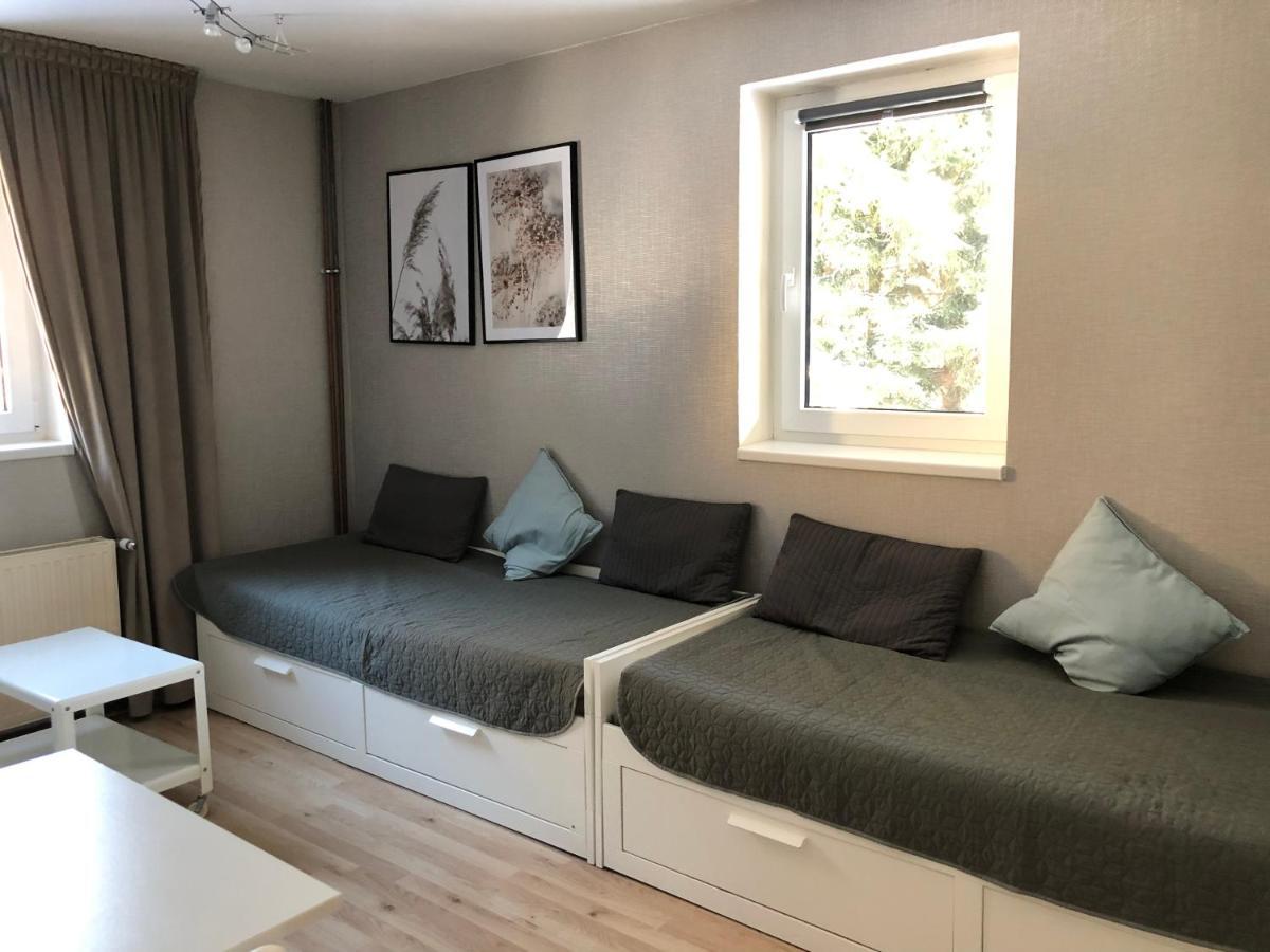 Apartman V Zeleni Dolní Morava エクステリア 写真