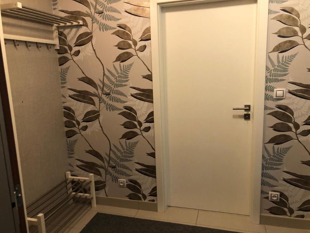 Apartman V Zeleni Dolní Morava エクステリア 写真
