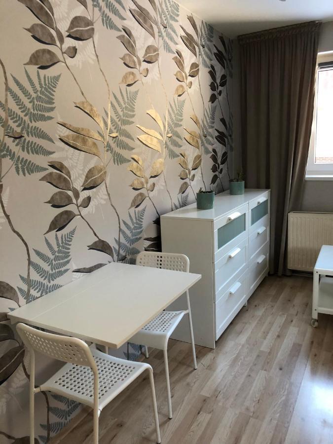 Apartman V Zeleni Dolní Morava エクステリア 写真